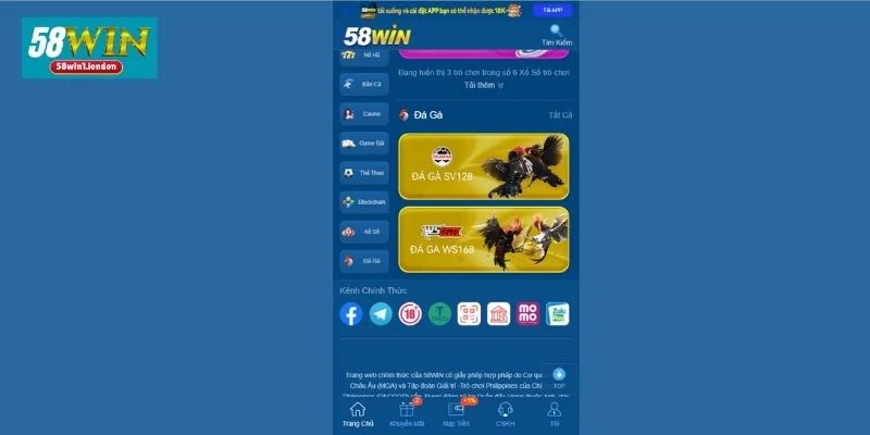 Trường gà tạ 58WIN là sân chơi cá độ bạc tỷ mà bạn không nên bỏ lỡ.